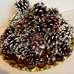 set of 50 white tipped pine cones